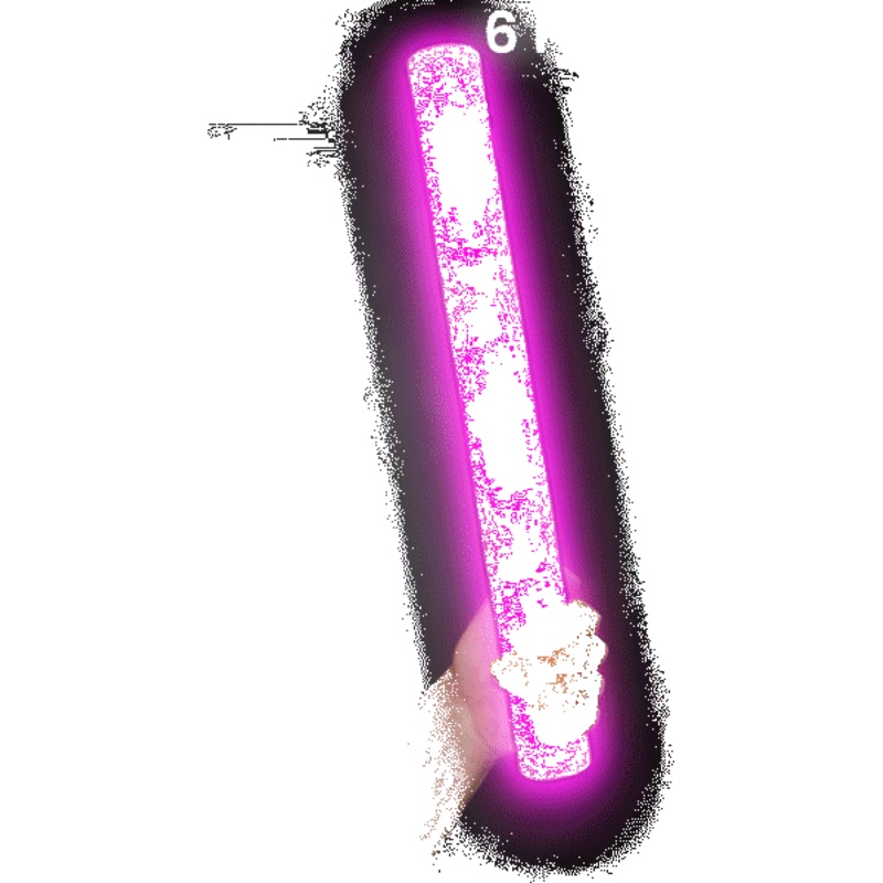 LED Light Up 16 Inch Pink Foam Stick Batons - Pack of 6 Sticks