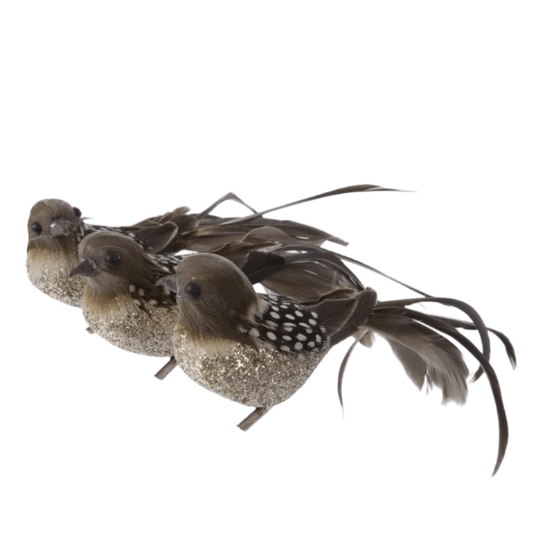 Bird Speckled Brown 22cm