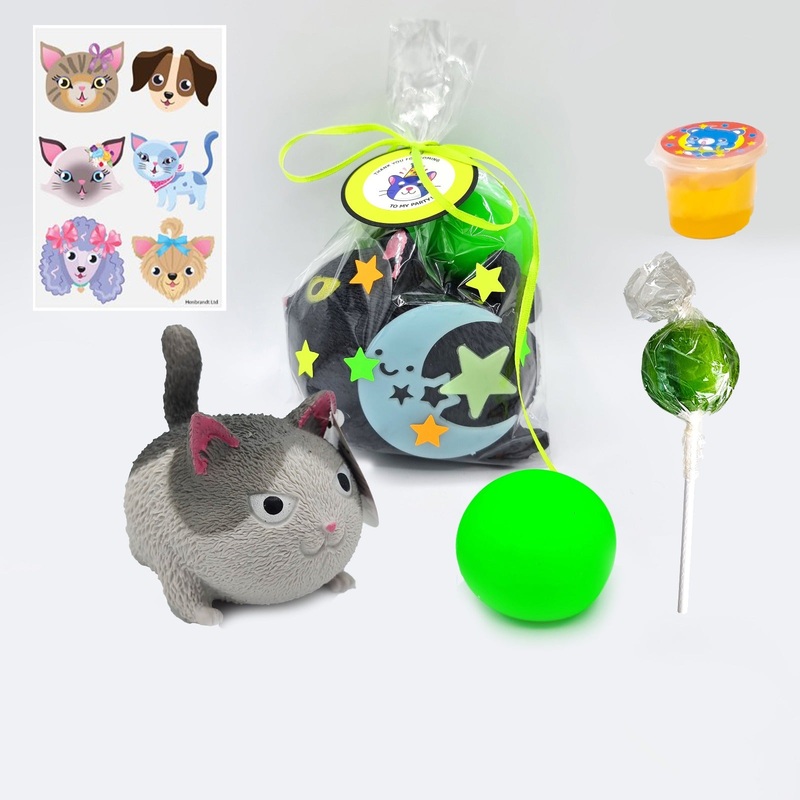 Pre Filled Birthday Glow Cat Party Goody Bags For Children