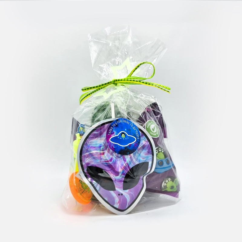 Pre Filled Space Alien Birthday Party Goody Bags