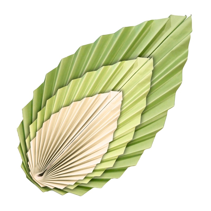 Palm Leaf Shaped Hanging Paper Fan Set - 3PC