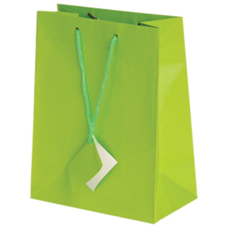 Light Green Medium Gift Bags
