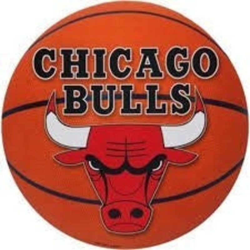 Chicago Bulls Cutout