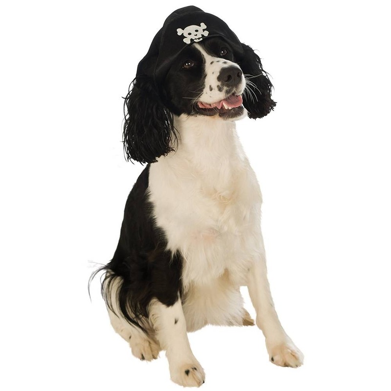 PET HAT PIRATE BOY