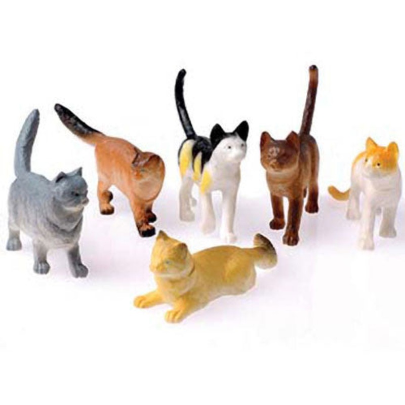 4 Inch Cats