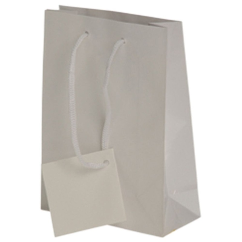 White Small Gift Bags