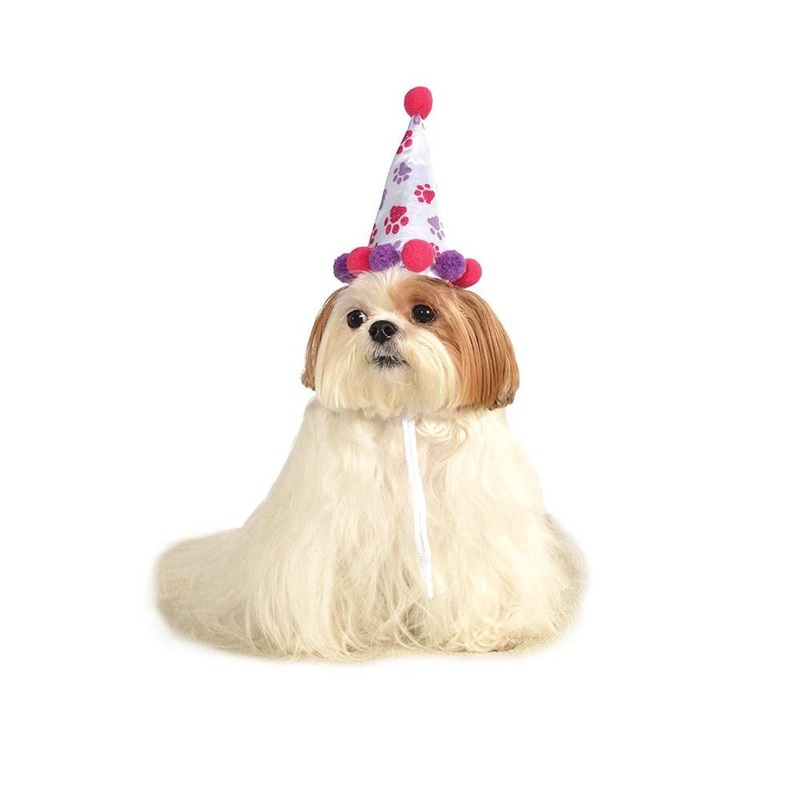 Paw Print Birthday Hat (M/L)