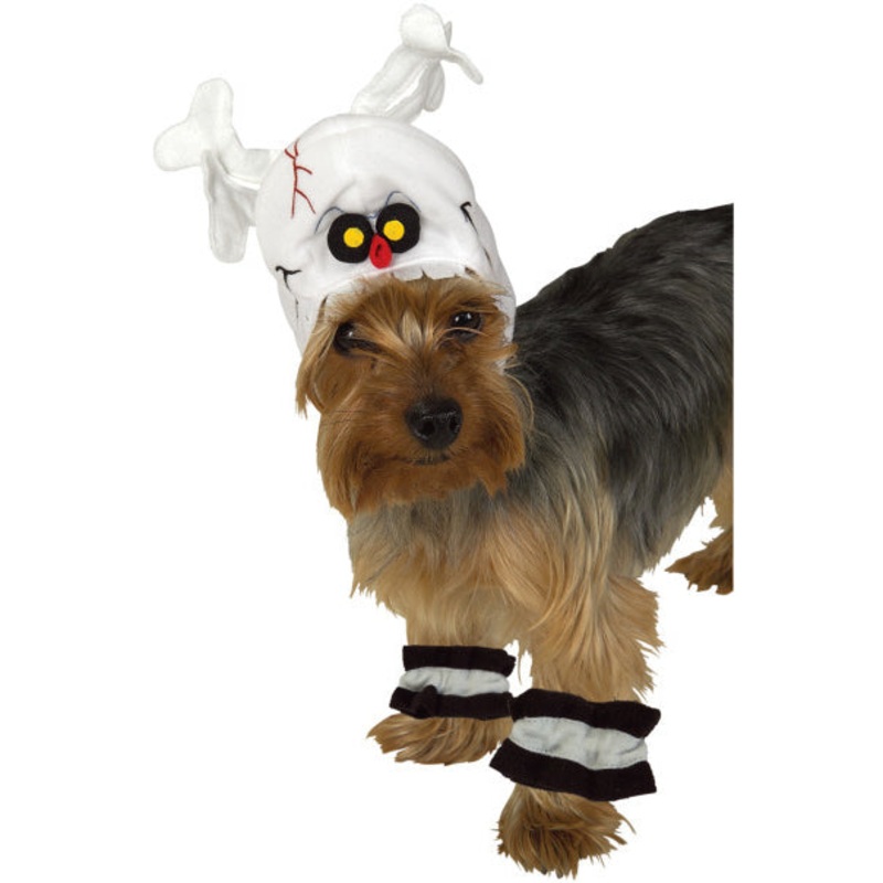 Skeleton Pet Costume