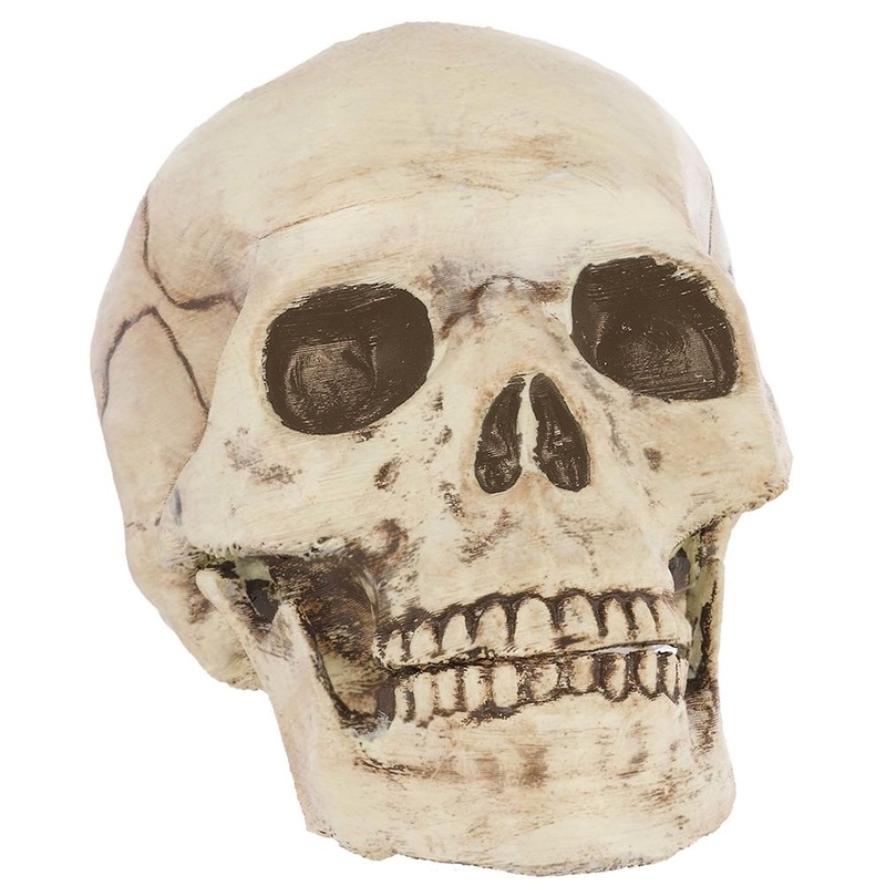 SKULL JOINTED MOUTH PLS