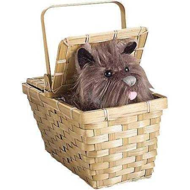 Toto with Basket, Brown
