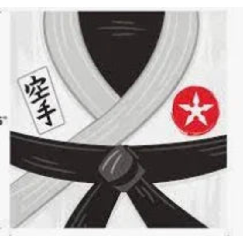 Karate Party Lunch Napkins