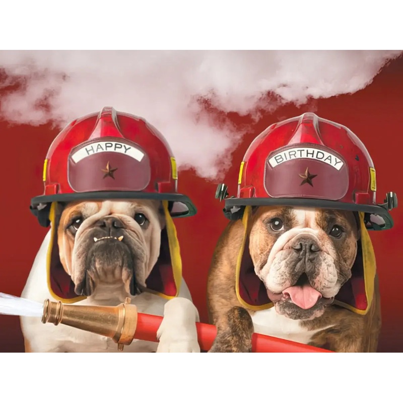 Birthday Card - OK! Go Ahead And Light 'Em!