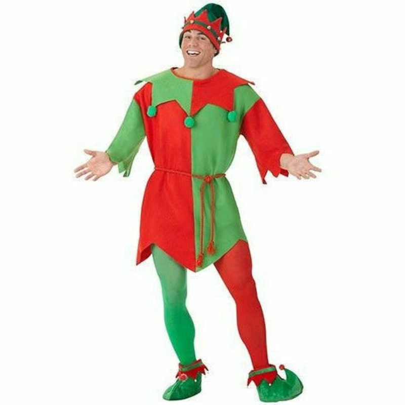 Adult Elf Costume