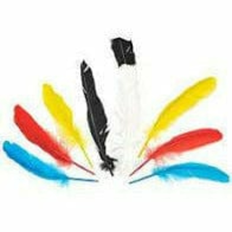 WESTERN FEATHERS