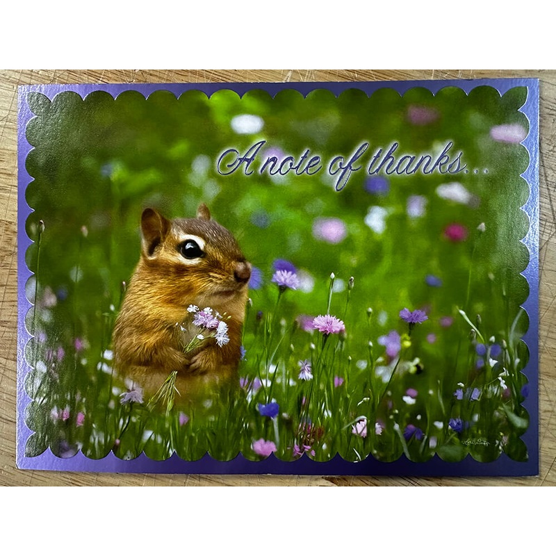 Thank you Card - A note of thanks