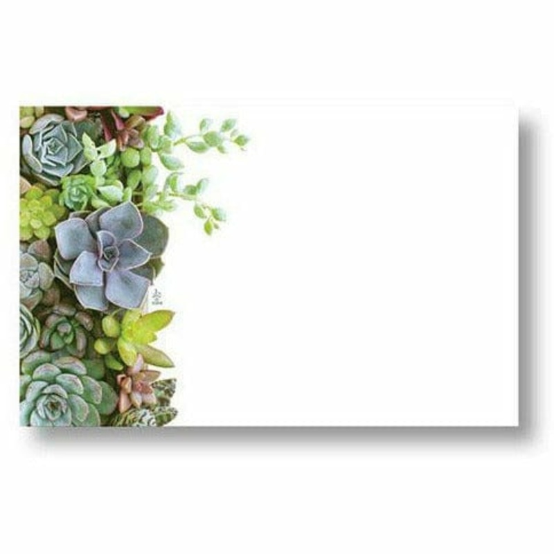 Succulents Blue Card