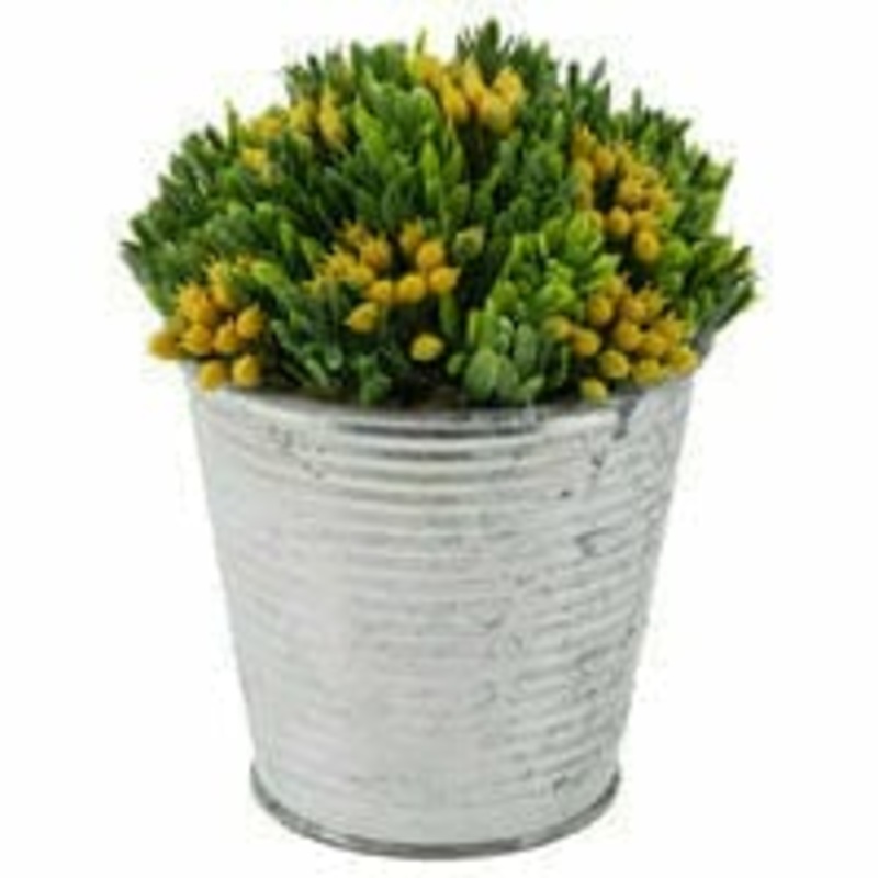 YELLOW BUD SUCCULENT METAL