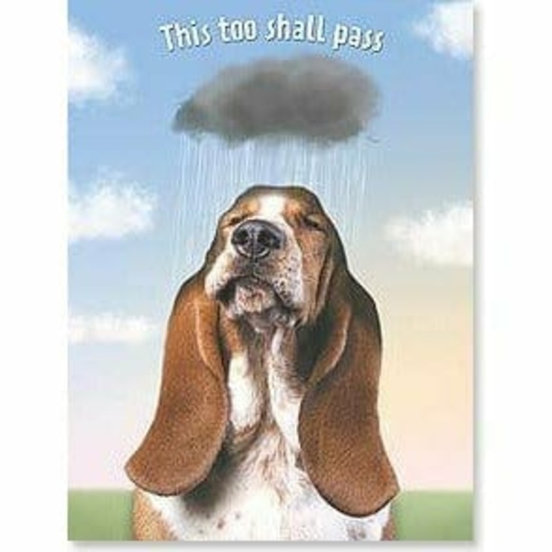 this too shall pass - card