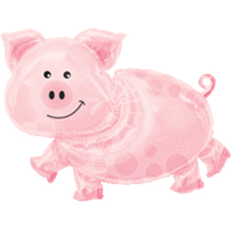 272 35" PIG