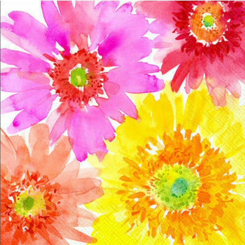 LUNCH NAPKINS - GERBERAS