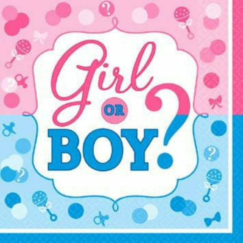 BOY OR GIRL? Lunch Napkins