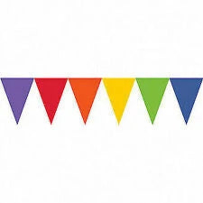 Multi-Colour Bunting (10m)