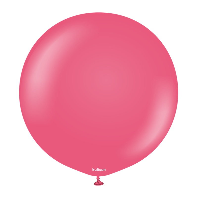 24 inch Kalisan Standard Fuchsia 2ct