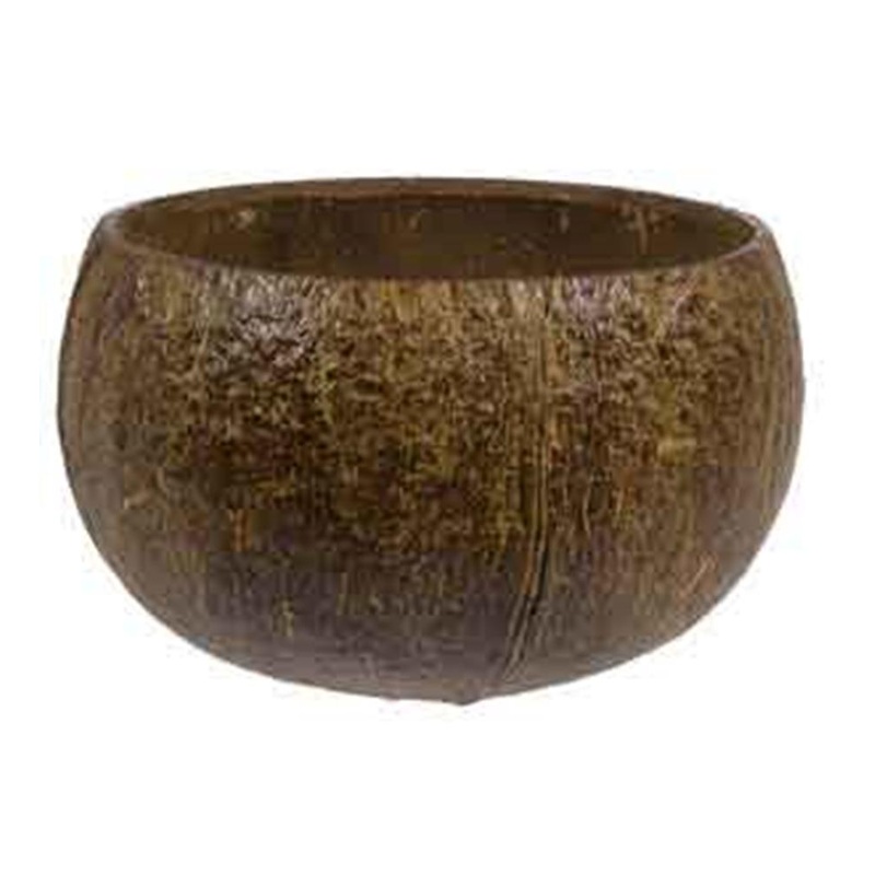 Authentic Coconut Cup 1ct