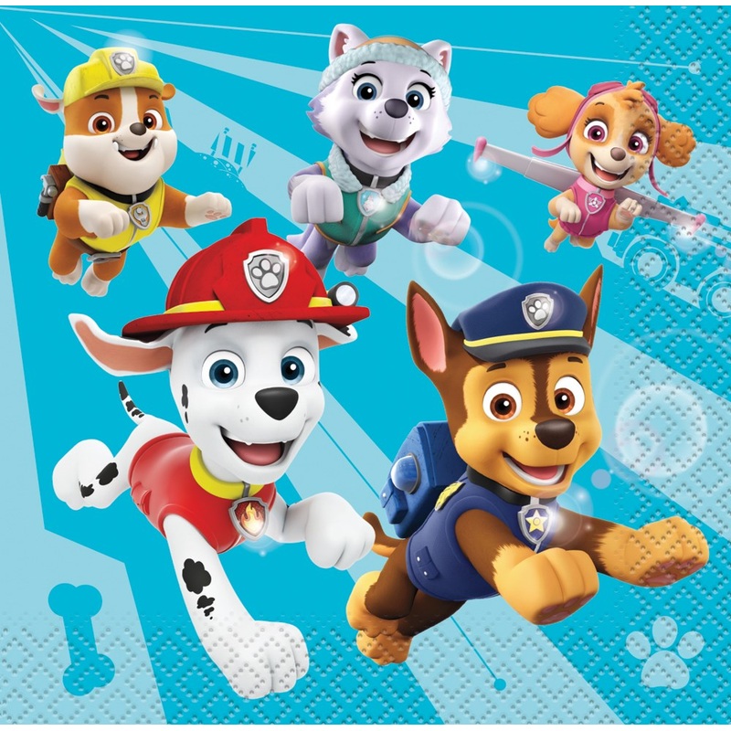 Paw Patrol Beverage Napkin 16ct