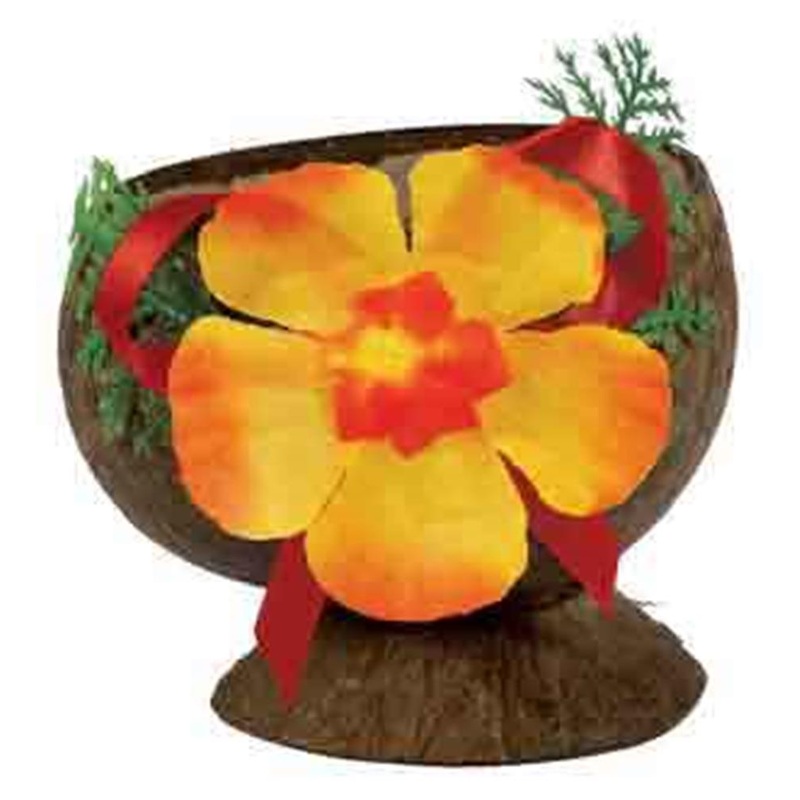 Coconut Cup Authentic