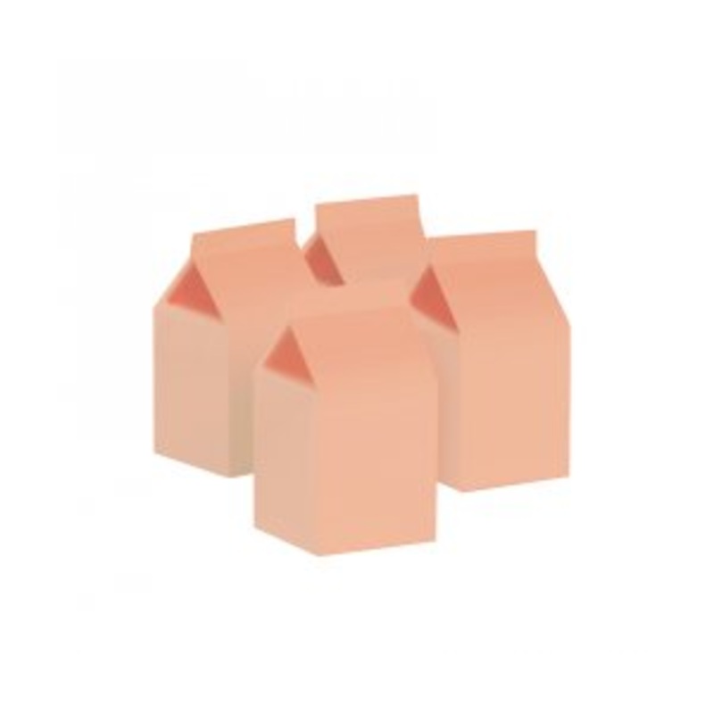 Milk Box Party Favours Pastel Peach