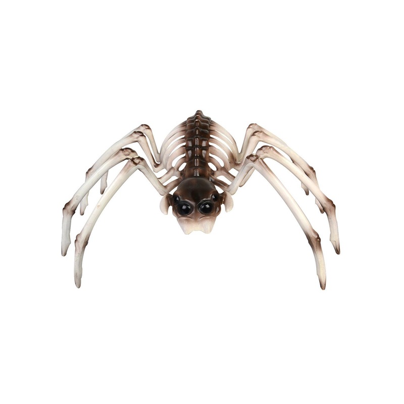Spider Skeleton Prop