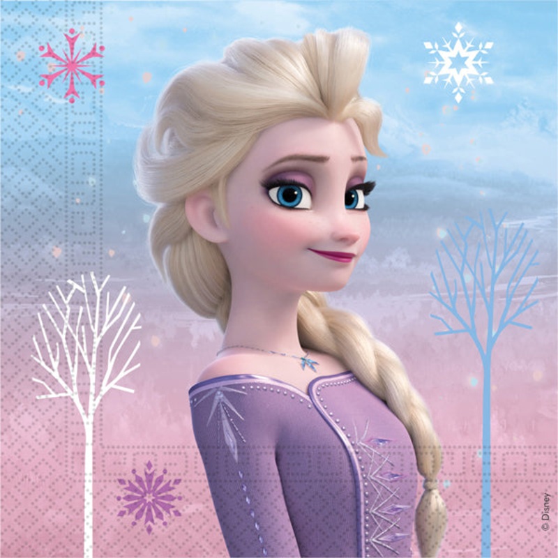Disney Frozen 2 Wind And Spirit Paper Napkins 20pk
