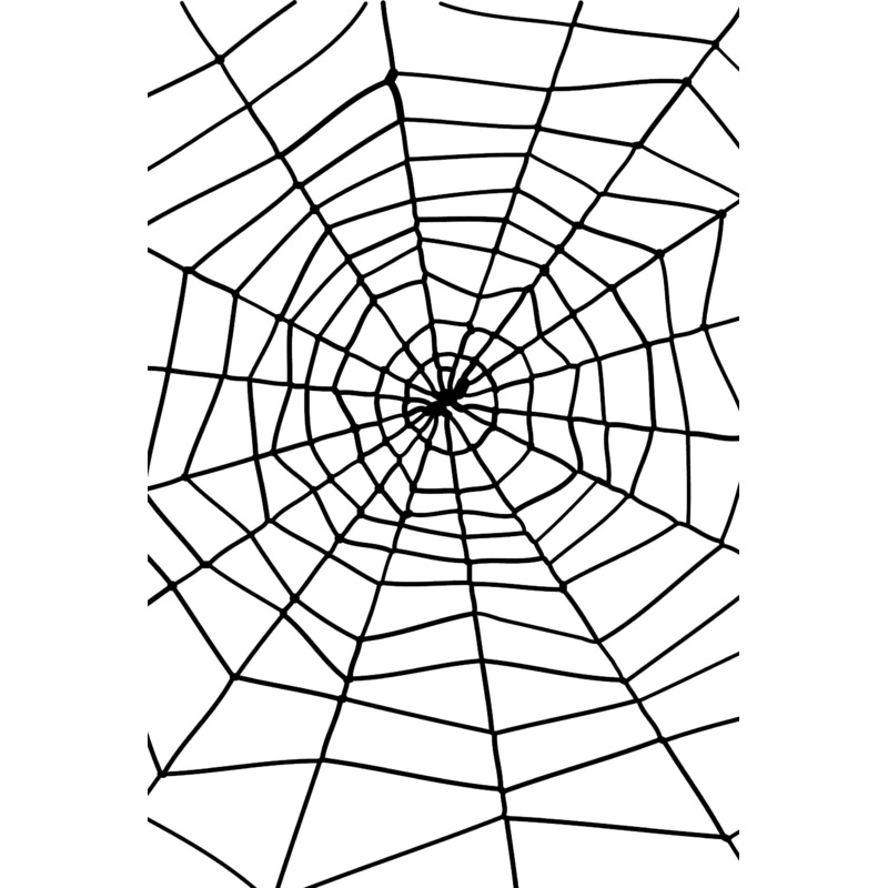 Spider & Spiders Web, Black