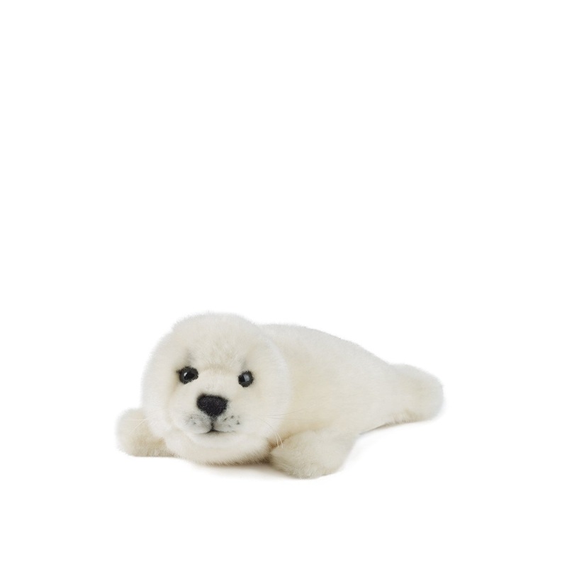 Living Nature Seal Pup