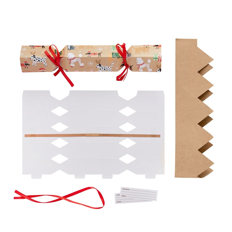 Eco Santa Paws DIY Crackers (PK6)