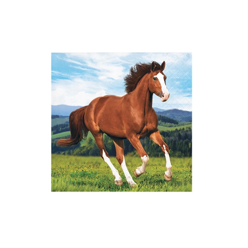 Horse & Pony Beverage Napkins 16pk
