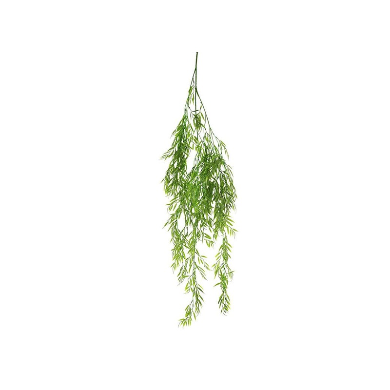 Weeping Willow Foliage