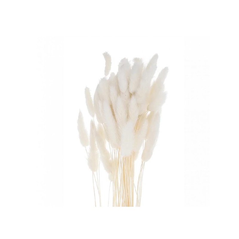 Bunny Tails 10pk White