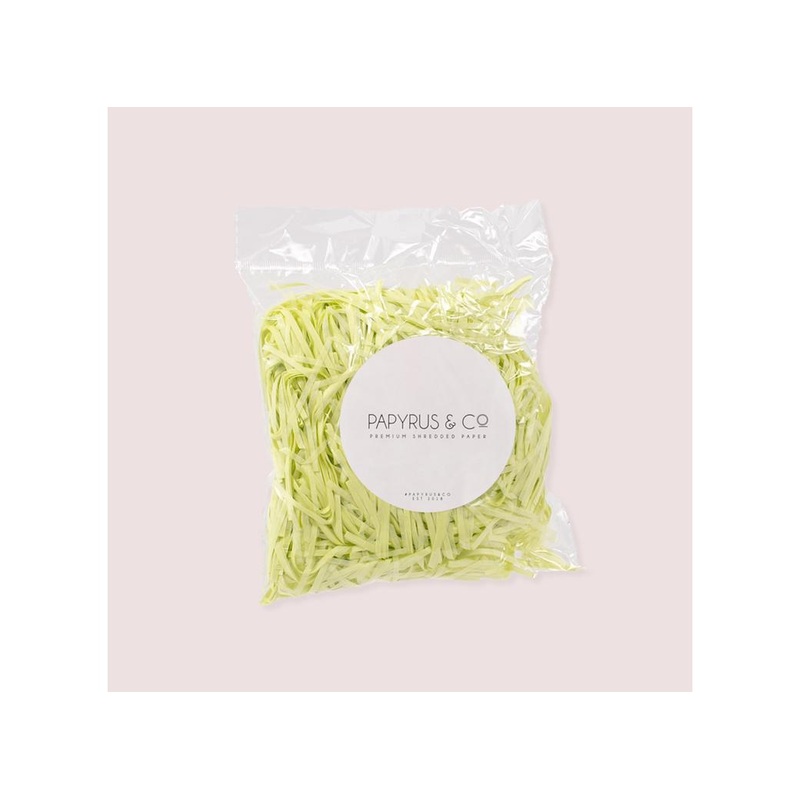 Papyrus Shredded Paper - Pastel Green